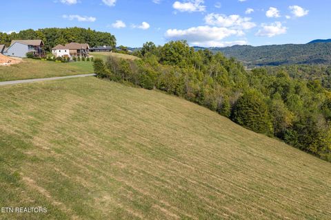Tiny photo for 164 Feldspar Rd, New Tazewell, TN 37825 (MLS # 1318710)