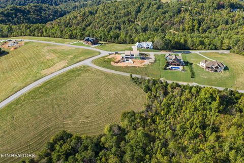 Tiny photo for 164 Feldspar Rd, New Tazewell, TN 37825 (MLS # 1318710)