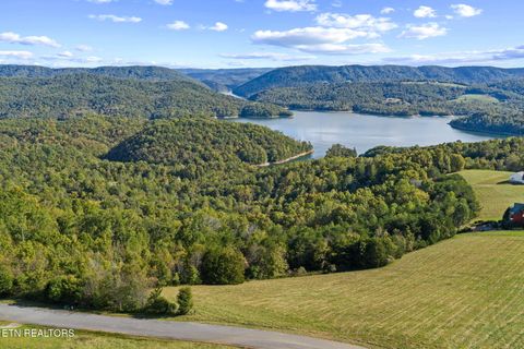 Tiny photo for 164 Feldspar Rd, New Tazewell, TN 37825 (MLS # 1318710)