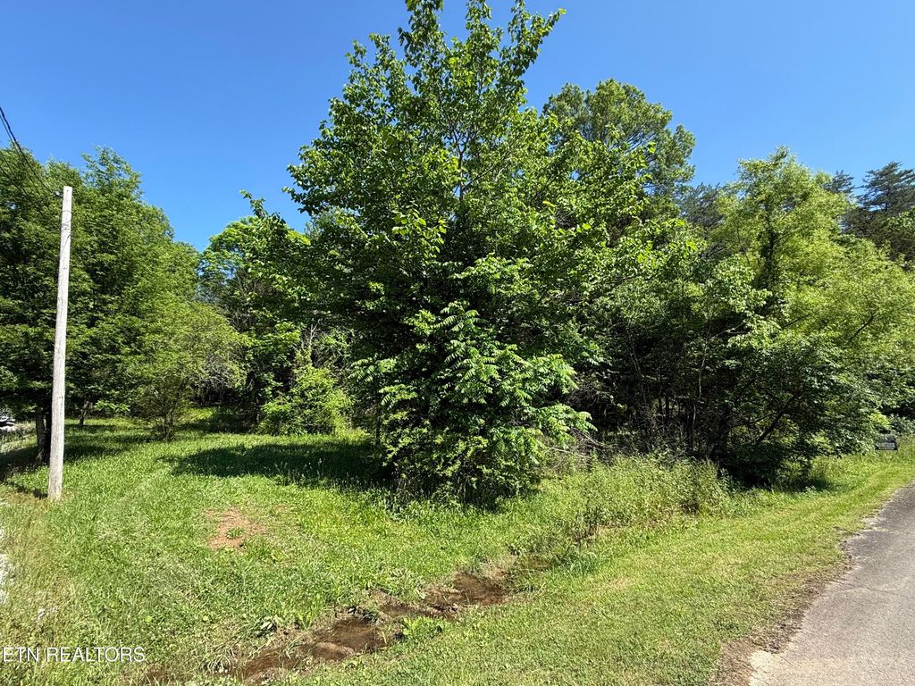 Photo of Muddy Lane, Decatur, TN 37322 (MLS # 1302189)
