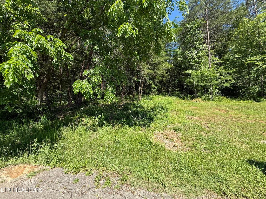 Photo of Muddy Lane, Decatur, TN 37322 (MLS # 1302189)