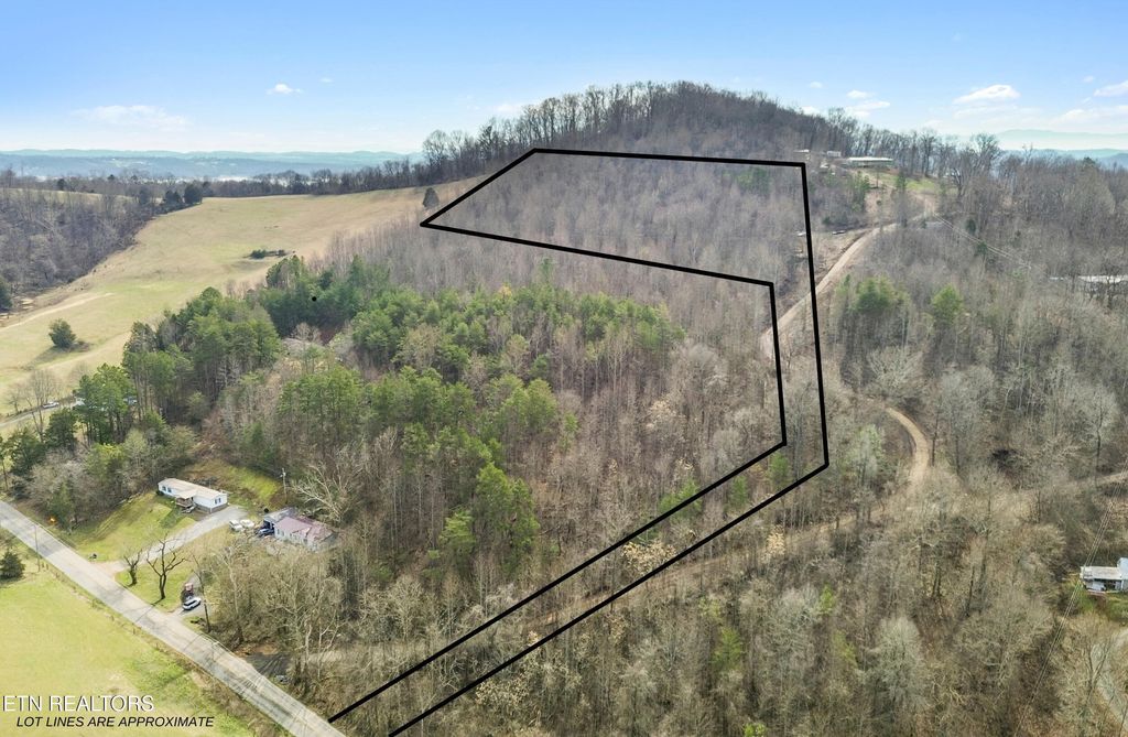 Photo of Lot 7 Owl Hole Gap Rd, Rutledge, TN 37861 (MLS # 1292365)