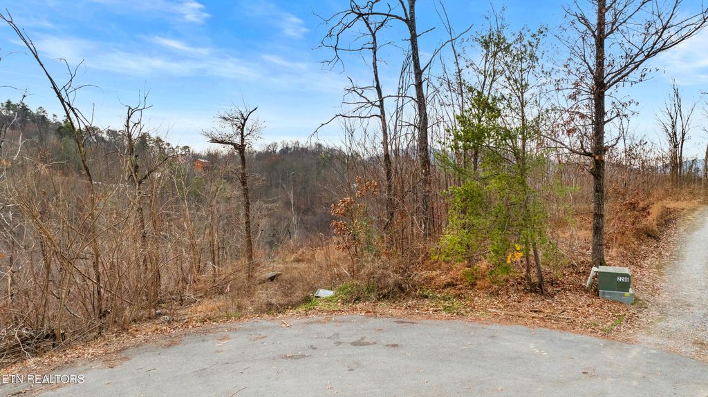 Photo of 7 Lone Ridge Drive, Sevierville, TN 37876 (MLS # 1323342)