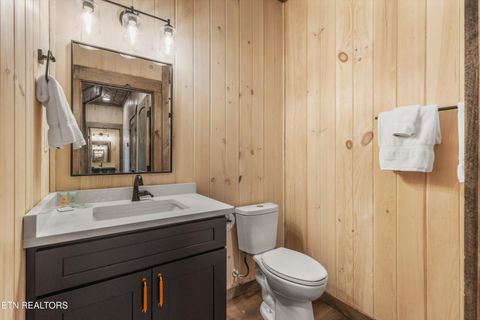 Tiny photo for 130 Jolene Way, Sevierville, TN 37876 (MLS # 1329099)