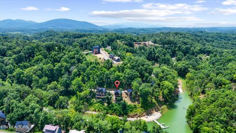 Tiny photo for 130 Jolene Way, Sevierville, TN 37876 (MLS # 1329099)