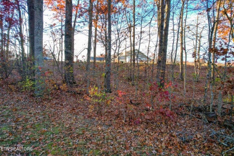 Tiny photo for 36 Deer Creek Drive, Crossville, TN 38571 (MLS # 1357617)