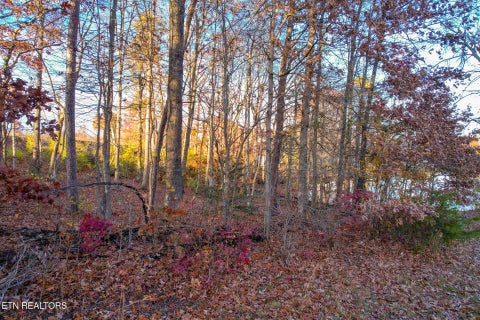 Tiny photo for 36 Deer Creek Drive, Crossville, TN 38571 (MLS # 1357617)
