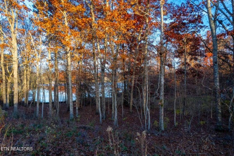 Tiny photo for 36 Deer Creek Drive, Crossville, TN 38571 (MLS # 1357617)