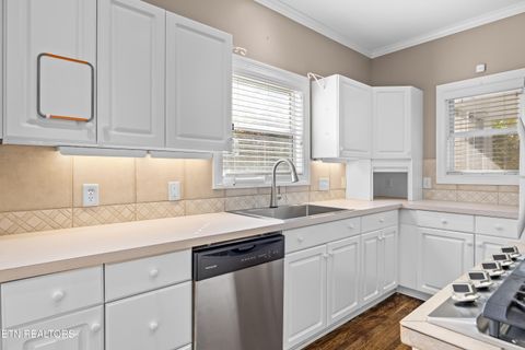 Tiny photo for 216 Peninsula Rd, Harriman, TN 37748 (MLS # 1321003)