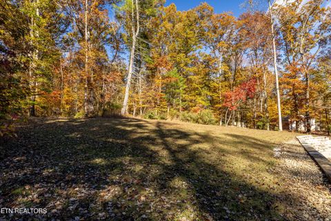 Tiny photo for 216 Peninsula Rd, Harriman, TN 37748 (MLS # 1321003)