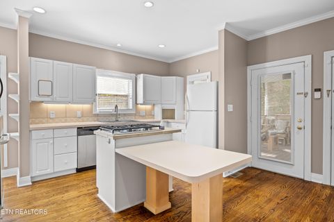 Tiny photo for 216 Peninsula Rd, Harriman, TN 37748 (MLS # 1321003)