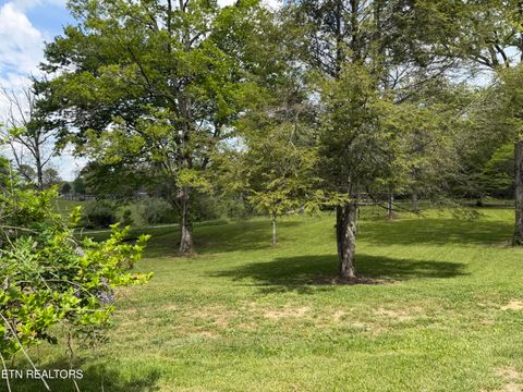 Tiny photo for 318 Lee Rd, Lancing, TN 37770 (MLS # 1338183)