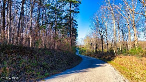 Tiny photo for 3728 Ervin Brown Rd, Sunbright, TN 37872 (MLS # 1336697)