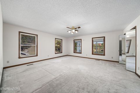 Tiny photo for 1101 Tom Davidson Road Rd, Crab Orchard, TN 37723 (MLS # 1319320)