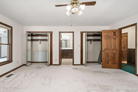 Tiny photo for 1101 Tom Davidson Road Rd, Crab Orchard, TN 37723 (MLS # 1319320)