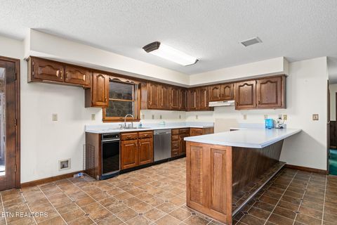 Tiny photo for 1101 Tom Davidson Road Rd, Crab Orchard, TN 37723 (MLS # 1319320)