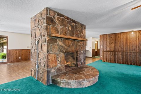 Tiny photo for 1101 Tom Davidson Road Rd, Crab Orchard, TN 37723 (MLS # 1319320)