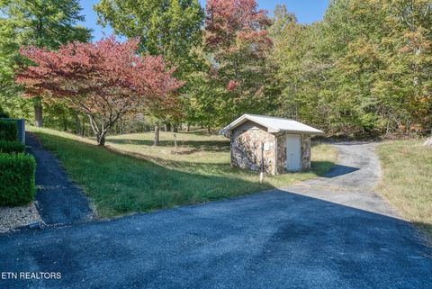 Tiny photo for 1101 Tom Davidson Road Rd, Crab Orchard, TN 37723 (MLS # 1319320)