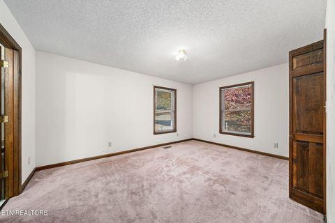 Tiny photo for 1101 Tom Davidson Road Rd, Crab Orchard, TN 37723 (MLS # 1319320)