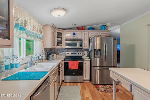 Tiny photo for 136 Holber Rd, Harriman, TN 37748 (MLS # 1348804)