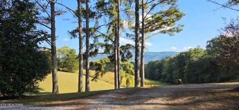 Tiny photo for 1845 Tree Tops Lane, Seymour, TN 37865 (MLS # 1357500)