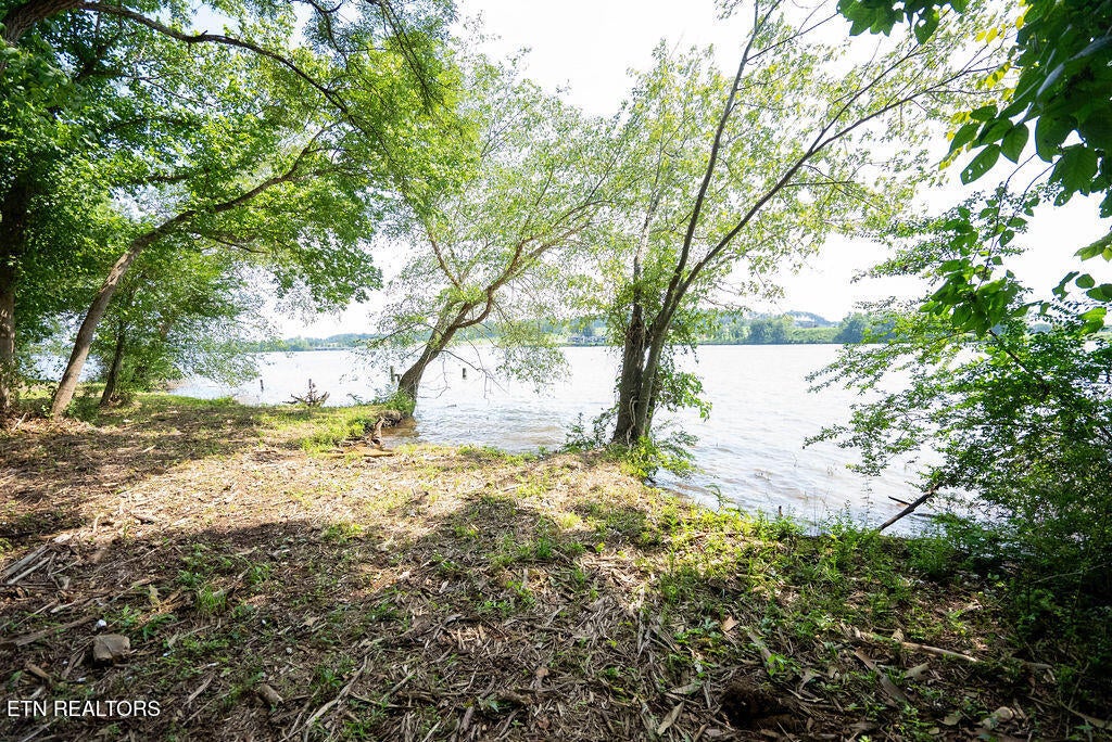 Photo of 56 Valley Drive, Loudon, TN 37774 (MLS # 1351965)