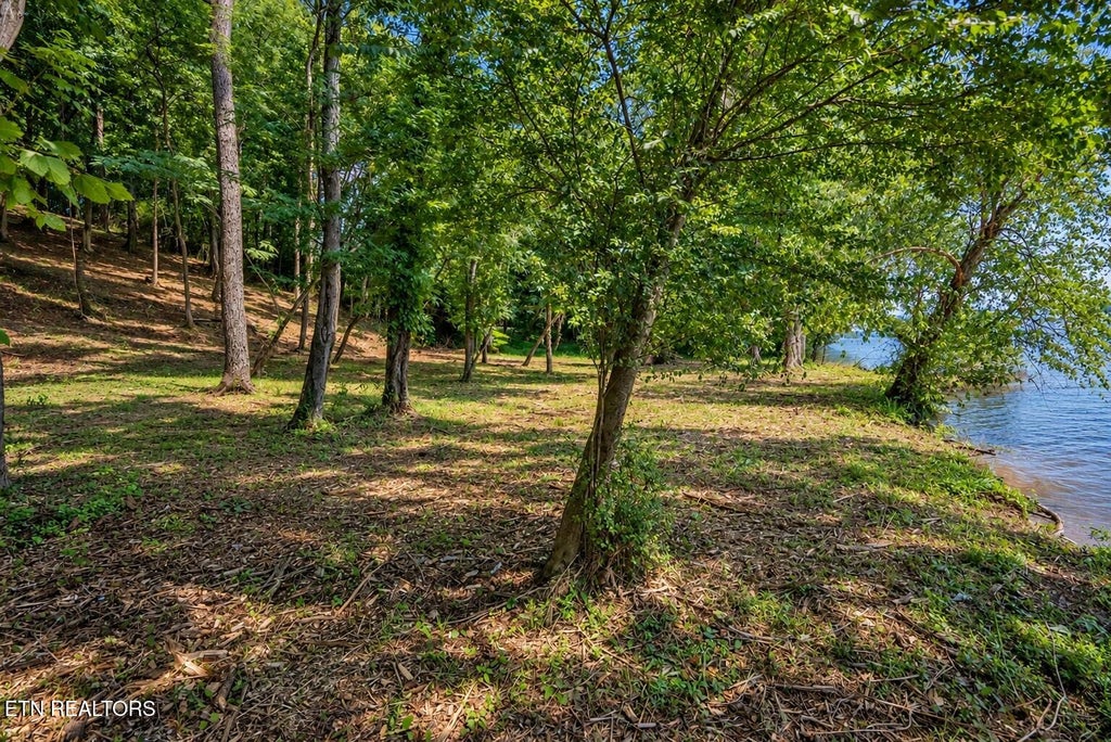 Photo of 56 Valley Drive, Loudon, TN 37774 (MLS # 1351965)
