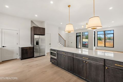 Tiny photo for 810 Vera Valley Way, Knoxville, TN 37919 (MLS # 1331462)