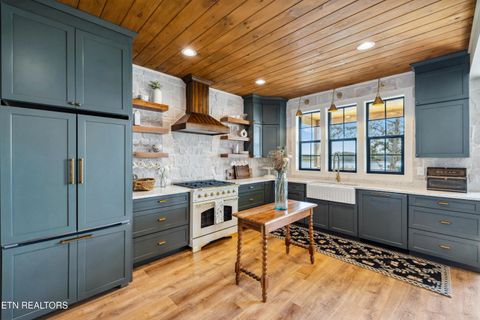 Tiny photo for 1315 Still Mountain Way, Dandridge, TN 37725 (MLS # 1331547)