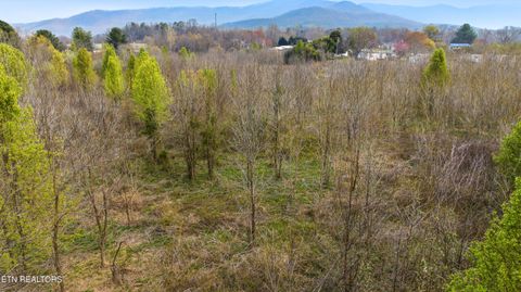 Tiny photo for Petit Lane, Wartburg, TN 37887 (MLS # 1334651)