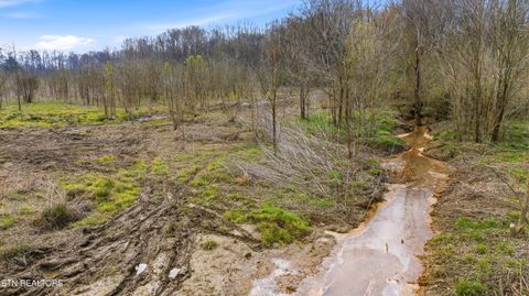 Tiny photo for Petit Lane, Wartburg, TN 37887 (MLS # 1334651)