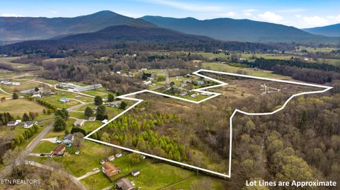 Tiny photo for Petit Lane, Wartburg, TN 37887 (MLS # 1334651)