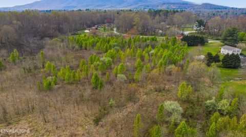 Tiny photo for Petit Lane, Wartburg, TN 37887 (MLS # 1334651)