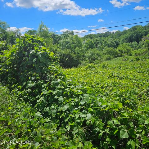 Tiny photo for Petit Lane, Wartburg, TN 37887 (MLS # 1334651)