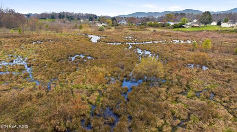 Tiny photo for Petit Lane, Wartburg, TN 37887 (MLS # 1334651)