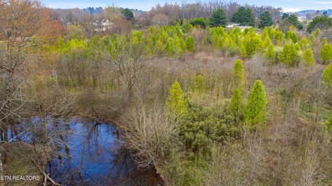 Tiny photo for Petit Lane, Wartburg, TN 37887 (MLS # 1334651)