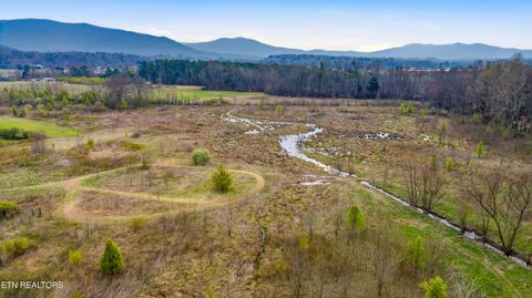 Tiny photo for Petit Lane, Wartburg, TN 37887 (MLS # 1334651)