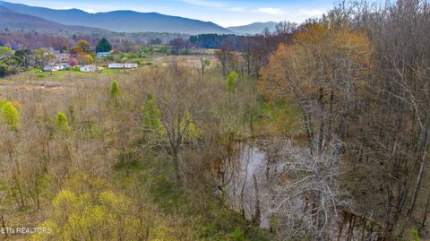 Tiny photo for Petit Lane, Wartburg, TN 37887 (MLS # 1334651)