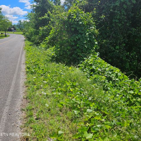 Tiny photo for Petit Lane, Wartburg, TN 37887 (MLS # 1334651)