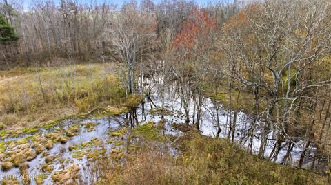 Tiny photo for Petit Lane, Wartburg, TN 37887 (MLS # 1334651)