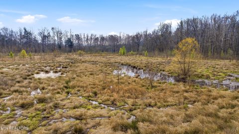 Tiny photo for Petit Lane, Wartburg, TN 37887 (MLS # 1334651)