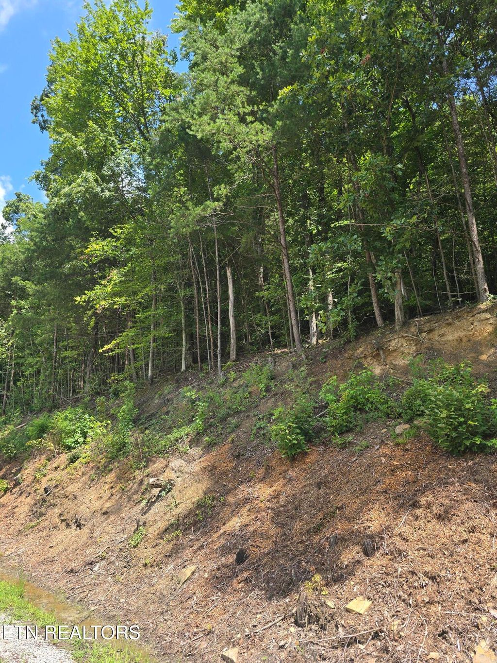 Photo of Ashley Lane, Jellico, TN 37762 (MLS # 1310428)