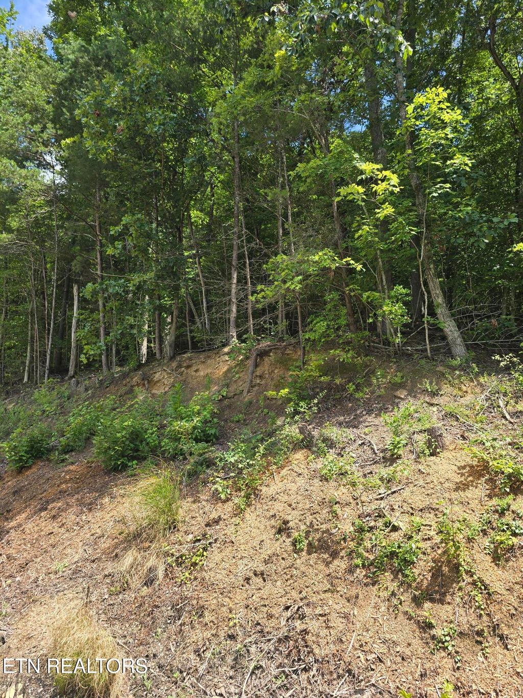 Photo of Ashley Lane, Jellico, TN 37762 (MLS # 1310428)