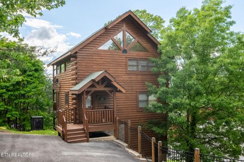 907 Black bear cub Way Sevierville TN 37862