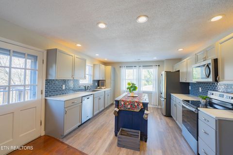 Tiny photo for 125 Bettis Lane, Kingston, TN 37763 (MLS # 1324351)