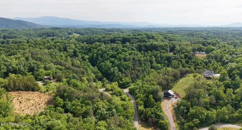 Tiny photo for Pheasant Court, Sevierville, TN 37876 (MLS # 1339629)