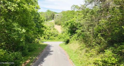Tiny photo for Pheasant Court, Sevierville, TN 37876 (MLS # 1339629)