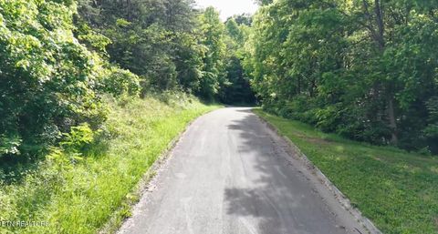 Tiny photo for Pheasant Court, Sevierville, TN 37876 (MLS # 1339629)