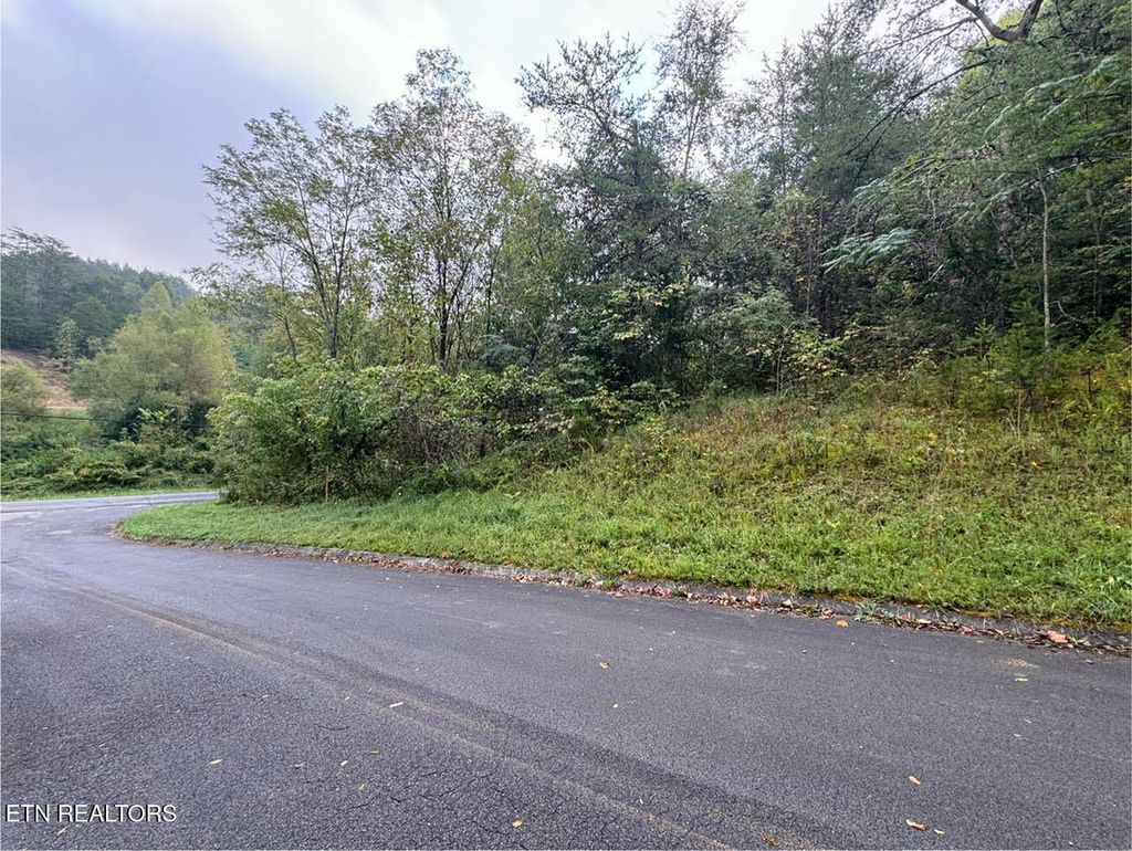 Photo of Pheasant Court, Sevierville, TN 37876 (MLS # 1339629)