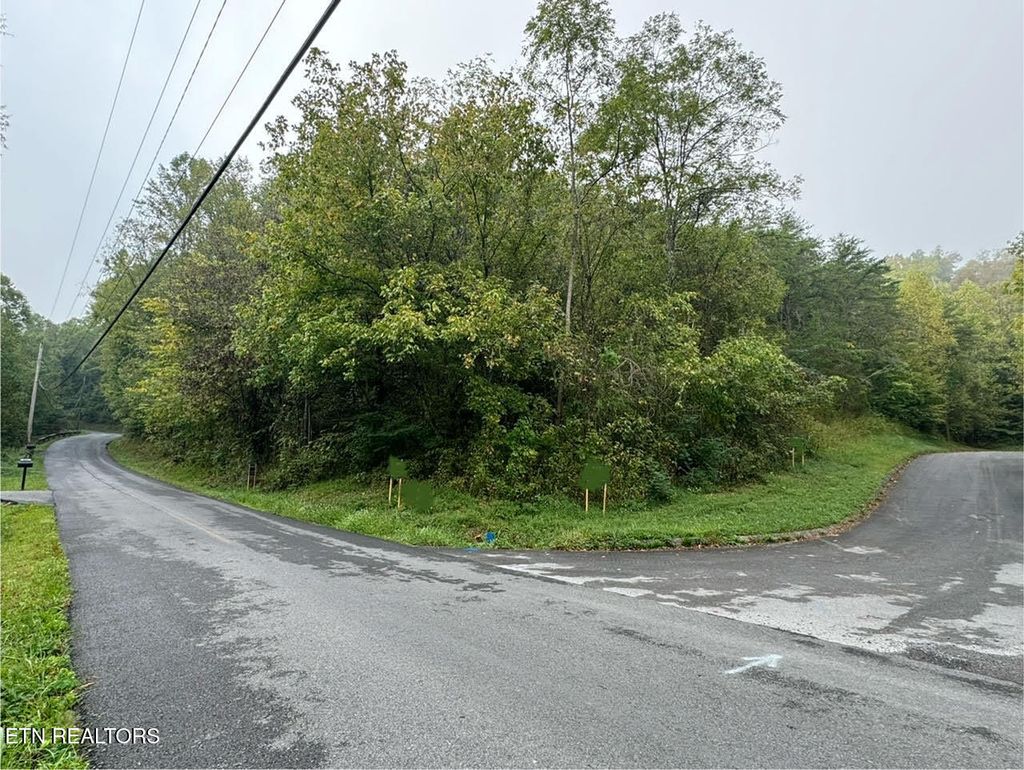 Photo of Pheasant Court, Sevierville, TN 37876 (MLS # 1339629)